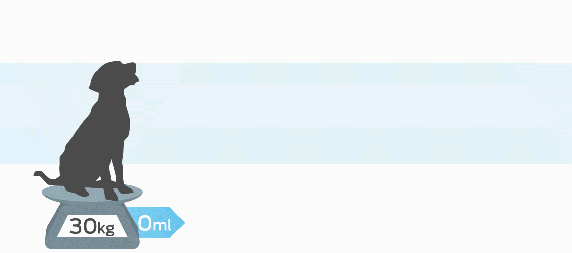 Dog Hydration All You Need to Know Purina